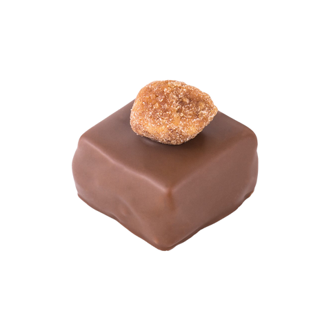Ganache - Hazelnut