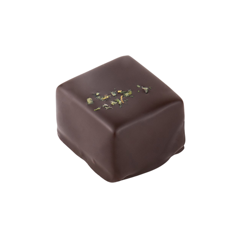Ganache - Fresh Mint