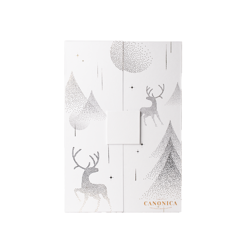 Calendrier de L'avent 2025