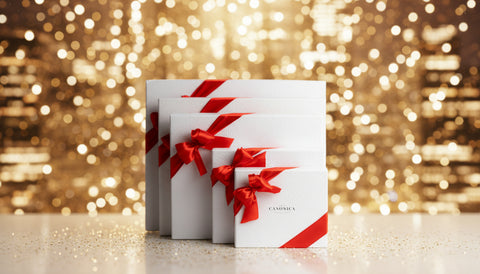 Un Noël signé Canonica